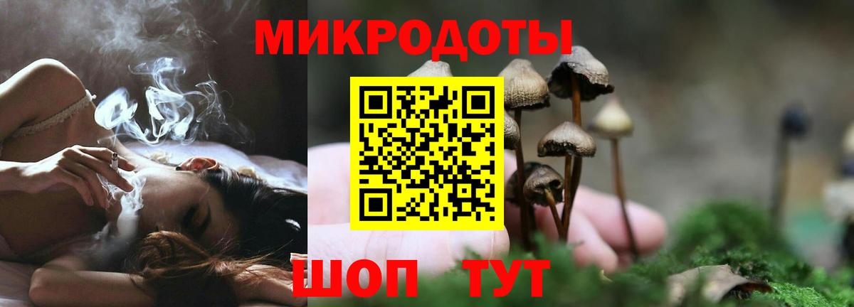 Галлюциногенные грибы MAGIC MUSHROOMS Учалы